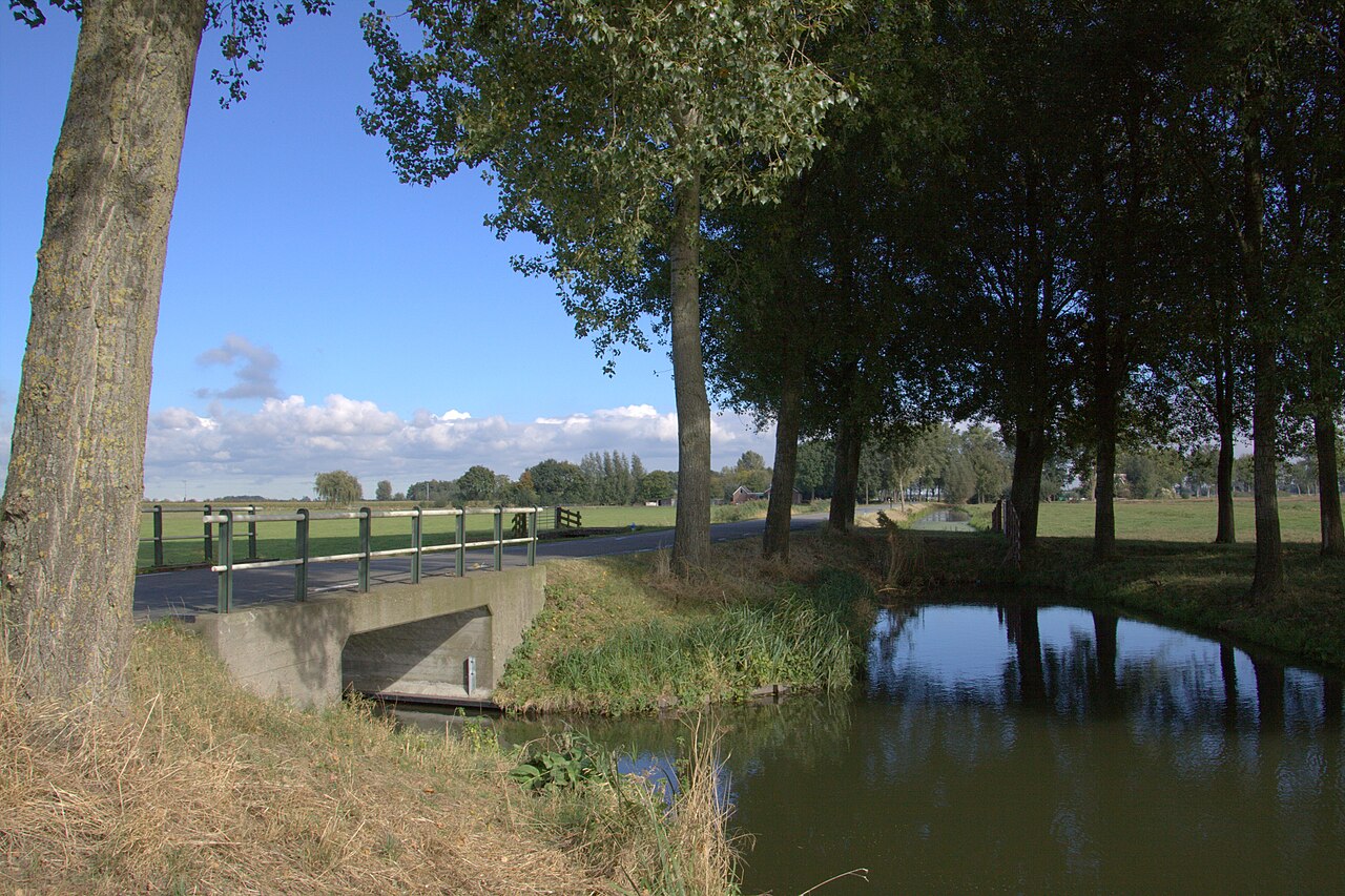 Stille weg met bomen en een sloot in het Nederlandse polderlandschap